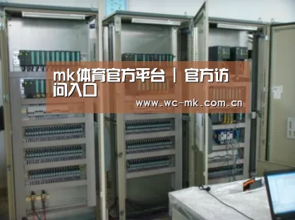 mk体育app案例展示五
