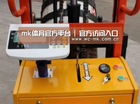 mk体育app案例展示三