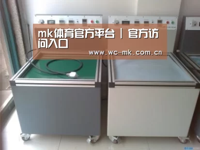 mk体育app案例展示二