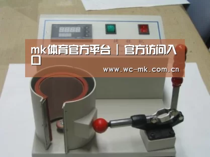 mk体育app案例展示六