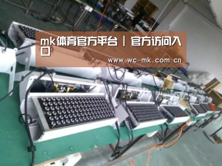 mk体育app案例展示一