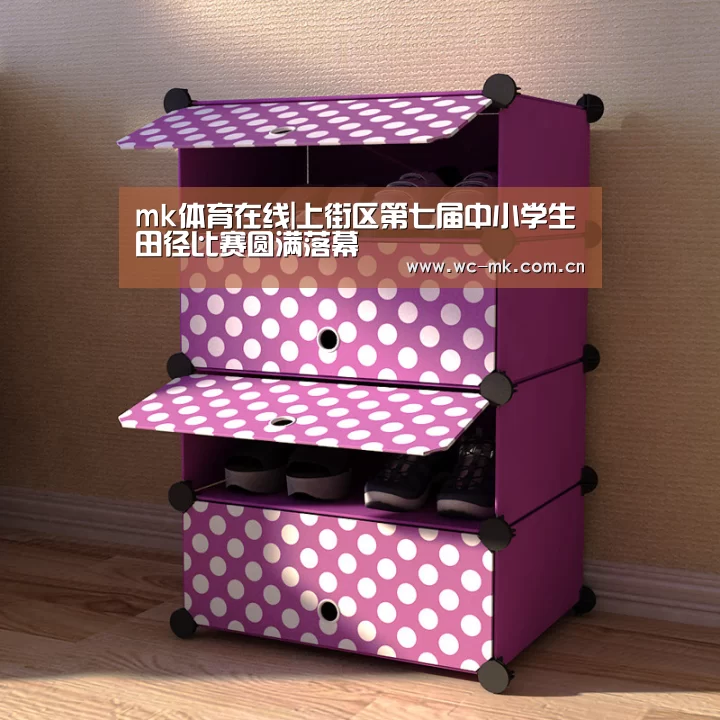 mk体育入口