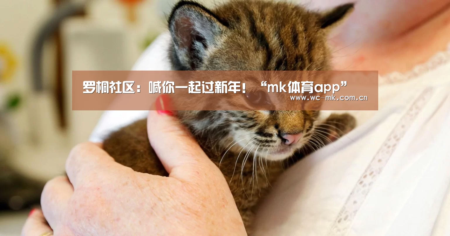 mk体育入口
