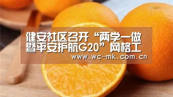 健安社区召开“两学一做暨平安护航G20”网格工作推进会_mk体育入口(图1) mk体育app