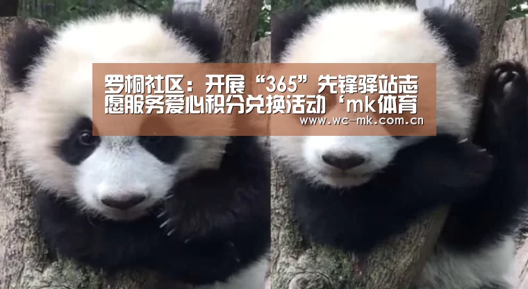 mk体育入口