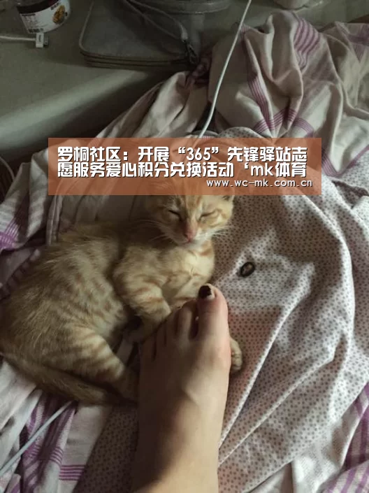 mk体育在线